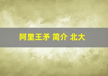 阿里王矛 简介 北大